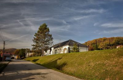 Dwór na sprzedaż Trenčiansky kraj, okres Trenčín, Melčice - Lieskové, Melčice, Kraj trenczyński, Zdjęcie 9/27