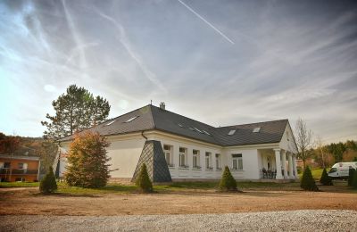 Dwór na sprzedaż Trenčiansky kraj, okres Trenčín, Melčice - Lieskové, Melčice, Kraj trenczyński, Zdjęcie 4/27