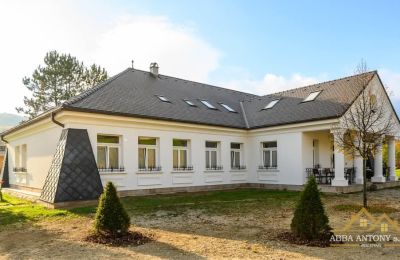 Dwór na sprzedaż Trenčiansky kraj, okres Trenčín, Melčice - Lieskové, Melčice, Kraj trenczyński, Zdjęcie 3/27
