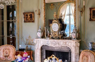 Pałac na sprzedaż Giverny, Normandia, Detale architektoniczne