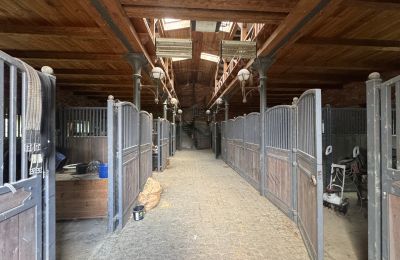 Lantgård till salu województwo zachodniopomorskie, Bild 10/26