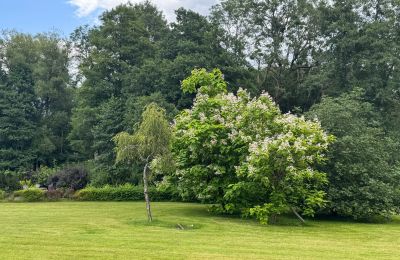 Lantgård till salu województwo zachodniopomorskie, Bild 23/26