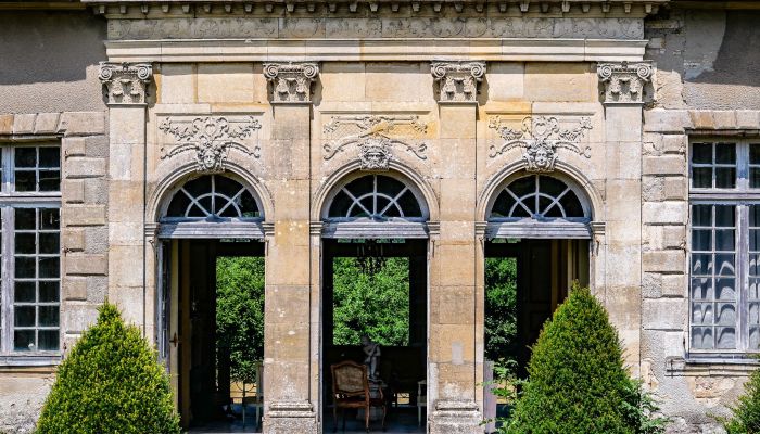 Pałac na sprzedaż Vitry-le-François, Grand-Est,  Francja