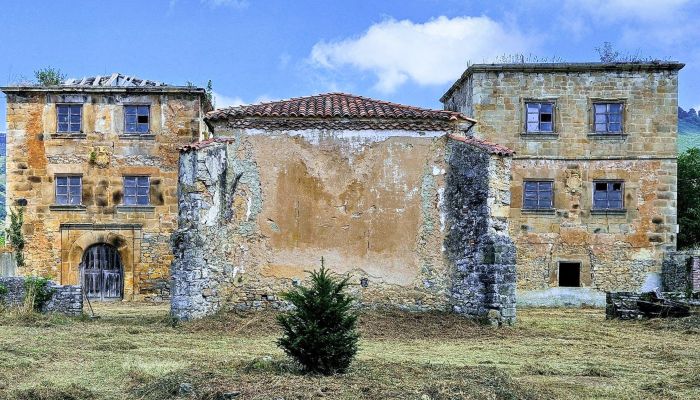  Sariego 1