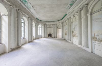 Pałac na sprzedaż Luberadz, Mazowieckie, Sala balowa