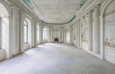 Pałac na sprzedaż Luberadz, Mazowieckie, Sala balowa