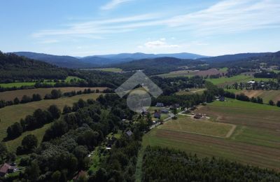Dwór na sprzedaż Radochów, Dolnośląskie, Zdjęcie 9/10