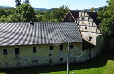Dwór na sprzedaż Radochów, Dolnośląskie, Zdjęcie 5/10