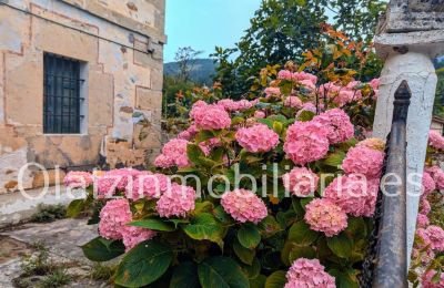 Dwór na sprzedaż Araba/Álava, Ayala/Aiara, Ayala / Aiara, Llanteno, Kraj Basków, Zdjęcie 2/29