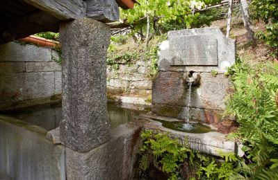 Zabytkowa nieruchomość na sprzedaż Gondomar, Galicja, Ogród