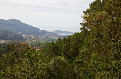 Zabytkowa nieruchomość na sprzedaż Gondomar, Galicja, Zdjęcie 41/48