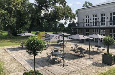 Dwór na sprzedaż Ojrzanów, Pałac w Ojrzanowie, Mazowieckie, Zdjęcie 9/18