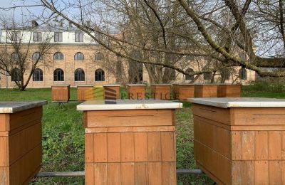 Dwór na sprzedaż Ojrzanów, Pałac w Ojrzanowie, Mazowieckie, Zdjęcie 14/18