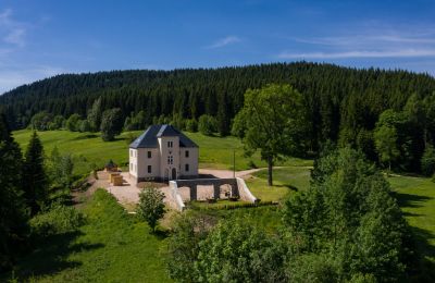 Dwór na sprzedaż 08309 Eibenstock, Saksonia,, Zdjęcie Drona