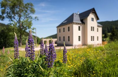 Dwór na sprzedaż 08309 Eibenstock, Saksonia,, Zdjęcie 5/6