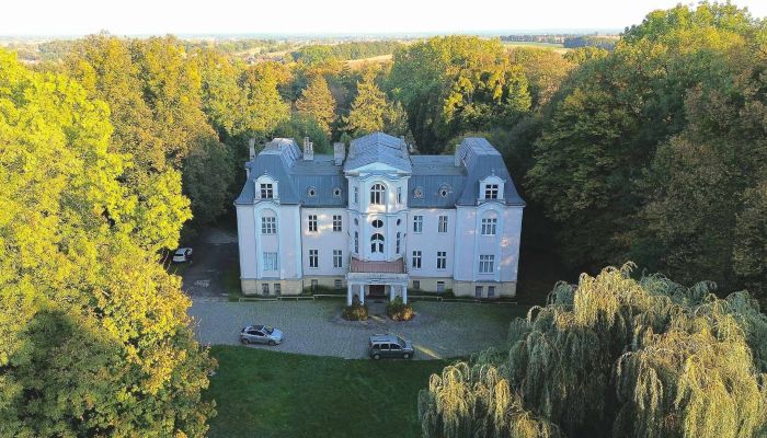 Pałac na sprzedaż Zakrzów, Opolskie,  Polska