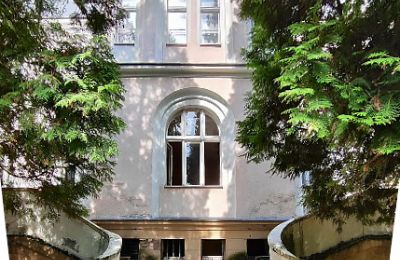 Pałac na sprzedaż Zakrzów, Opolskie, Widok z tyłu