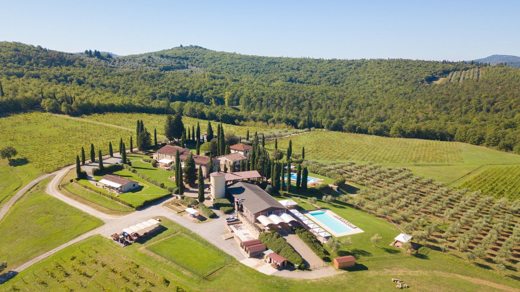 Zdjęcia Borgo Veriliana – Posiadłość w Toskanii między Florencją a Arezzo - 93 hektarów