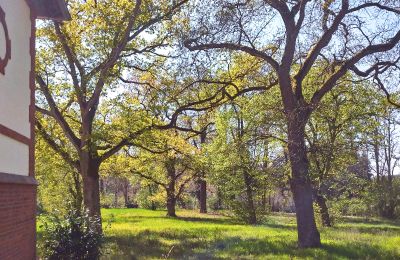 Dwór na sprzedaż 14715 Schollene, Saksonia-Anhalt, Działka