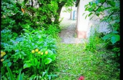 Historiskt hem till salu Izbica Kujawska, Toruńska 9, województwo kujawsko-pomorskie, ogród za pomieszczeniem gospodarczym