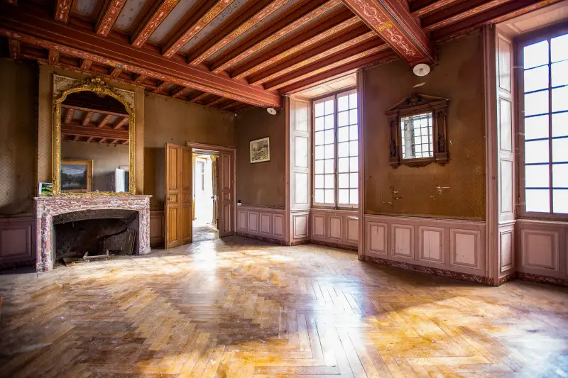 Pałac na sprzedaż Thouars, Nouvelle-Aquitaine,  Francja, 4