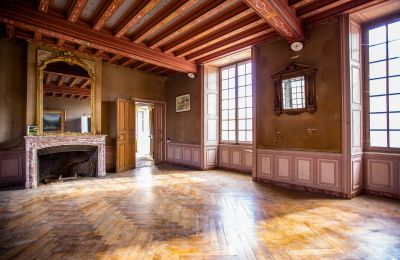 Pałac na sprzedaż Thouars, Nouvelle-Aquitaine, Zdjęcie 8/16