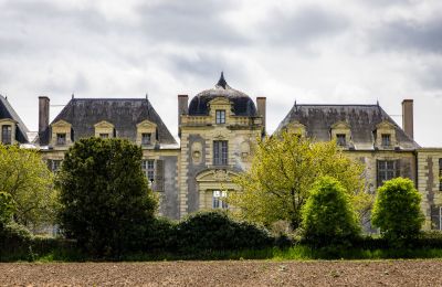 Pałac na sprzedaż Thouars, Nouvelle-Aquitaine, Zdjęcie 2/16
