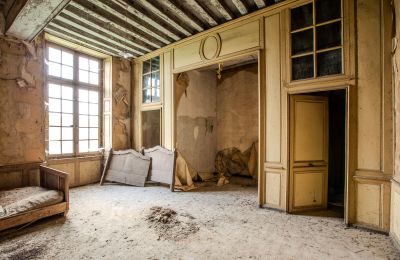 Pałac na sprzedaż Thouars, Nouvelle-Aquitaine, Zdjęcie 11/16
