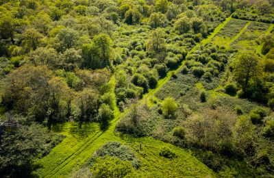Pałac na sprzedaż Thouars, Nowa Akwitania, Zdjęcie 18/19