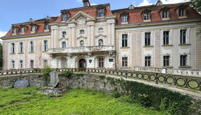 Pałac na sprzedaż Roztocznik, Dolnośląskie,  Polska