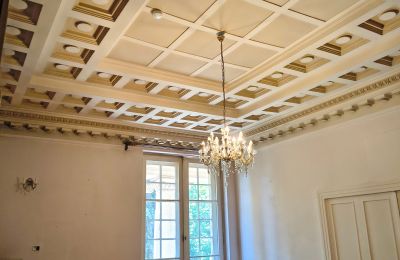 Pałac na sprzedaż Łubie, Pyskowicka 34, Śląskie, Zdjęcie 14/20