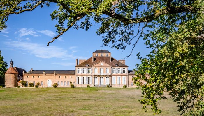 Pałac na sprzedaż Nevers, Bourgogne-Franche-Comté,  Francja