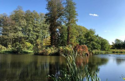 Dwór na sprzedaż Ojrzanów, Pałac w Ojrzanowie, Mazowieckie, Jezioro/staw