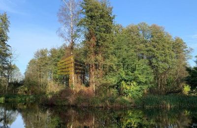 Dwór na sprzedaż Ojrzanów, Pałac w Ojrzanowie, Mazowieckie, Park