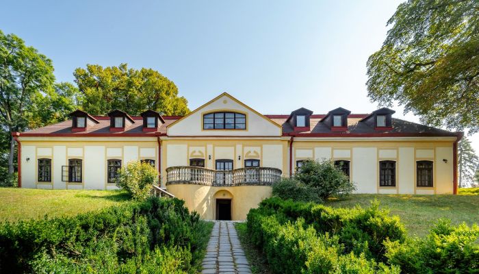 Dwór na sprzedaż Rakovec nad Ondavou, Kraj koszycki,  Słowacja