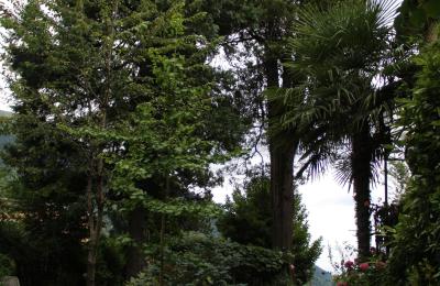 Zabytkowa willa na sprzedaż Faido, Ticino, Wjazd