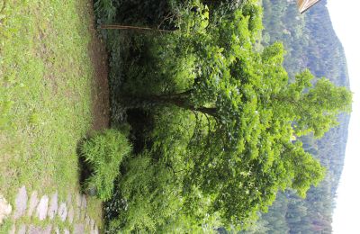 Zabytkowa willa na sprzedaż Faido, Ticino, Zdjęcie 29/44