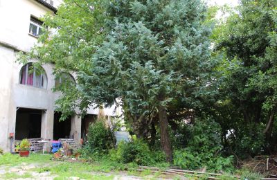 Zabytkowa willa na sprzedaż Faido, Ticino, Zdjęcie 34/44