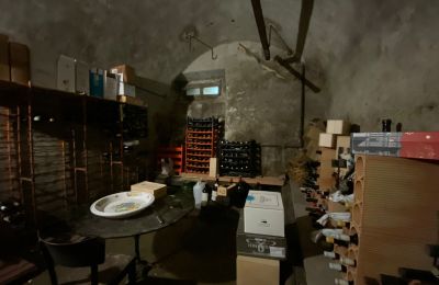 Zabytkowa willa na sprzedaż Faido, Ticino, Cantina vini