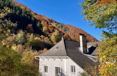 Zabytkowa willa na sprzedaż Waidhofen an der Ybbs, Dolna Austria, Zdjęcie 31/40