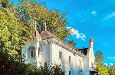 Zabytkowa willa na sprzedaż Waidhofen an der Ybbs, Dolna Austria, Zdjęcie 2/40