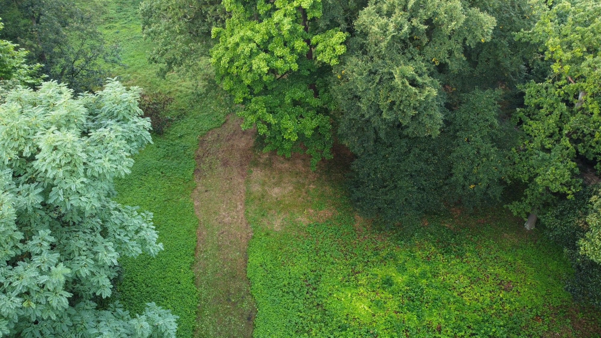 Zdjęcia Zaczarowany zabytkowy ogród w Iłowej