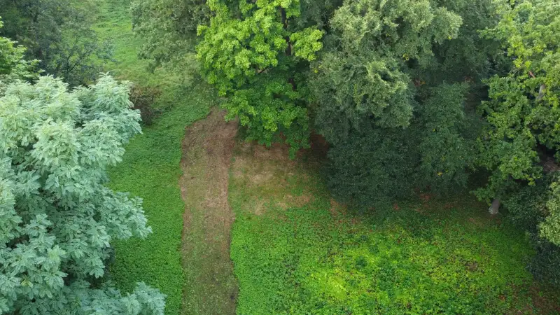 Zabytkowy park na sprzedaż Iłowa, Lubuskie,  Polska, 1