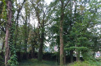 Zabytkowy park na sprzedaż Iłowa, Kolejowa 11, Lubuskie, Zdjęcie 11/17
