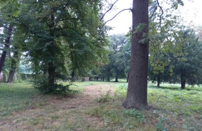 Zabytkowy park na sprzedaż Iłowa, Kolejowa 11, Lubuskie, Zdjęcie 13/17