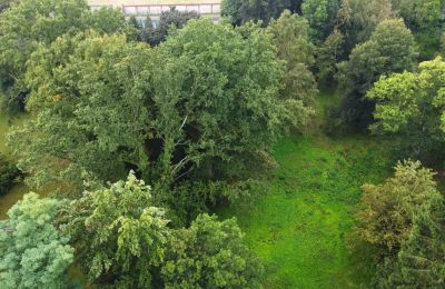 Zabytkowy park na sprzedaż Iłowa, Kolejowa 11, Lubuskie, Zdjęcie 14/17