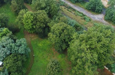 Zabytkowy park na sprzedaż Iłowa, Kolejowa 11, Lubuskie, Zdjęcie 16/17