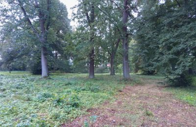 Zabytkowy park na sprzedaż Iłowa, Kolejowa 11, Lubuskie, Zdjęcie 5/17