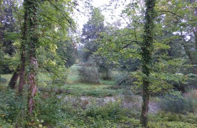 Zabytkowy park na sprzedaż Iłowa, Kolejowa 11, Lubuskie, Zdjęcie 6/17