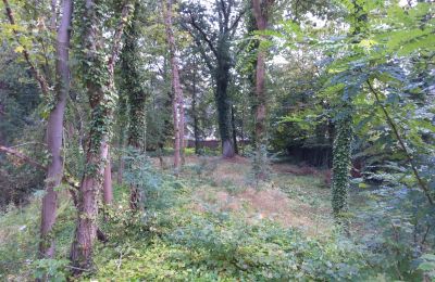 Zabytkowy park na sprzedaż Iłowa, Kolejowa 11, Lubuskie, Zdjęcie 9/17